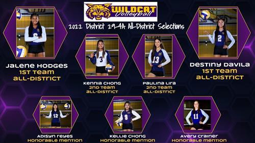 All District Volleyball